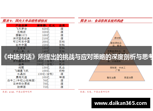 《中场对话》所提出的挑战与应对策略的深度剖析与思考