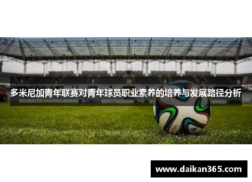 多米尼加青年联赛对青年球员职业素养的培养与发展路径分析